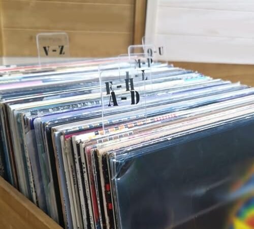 Create an Organized System Lot de 6 intercalaires pour disques vinyles transparents avec onglets (cartes CD horizontales)