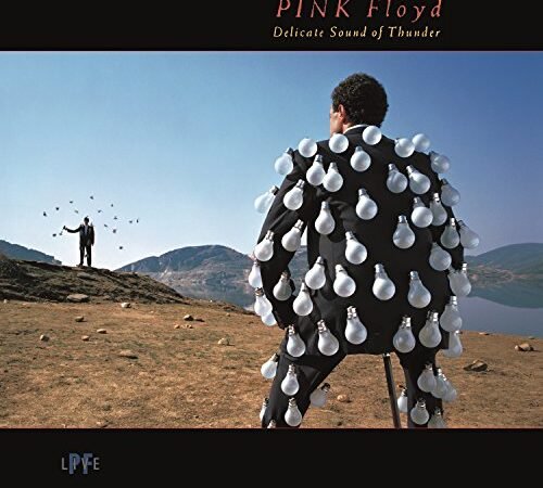 Delicate Sound of Thunder (Live)