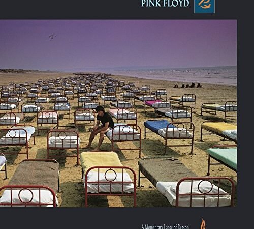 Momentary Lapse of Reason [Import]