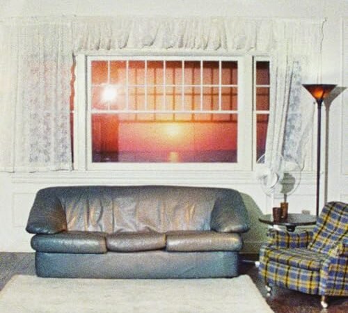 Model Exclusivité Vinyle Coloré